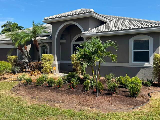 The same bed with new shrubs and flowering ixora planted in fresh rows, before mulching.