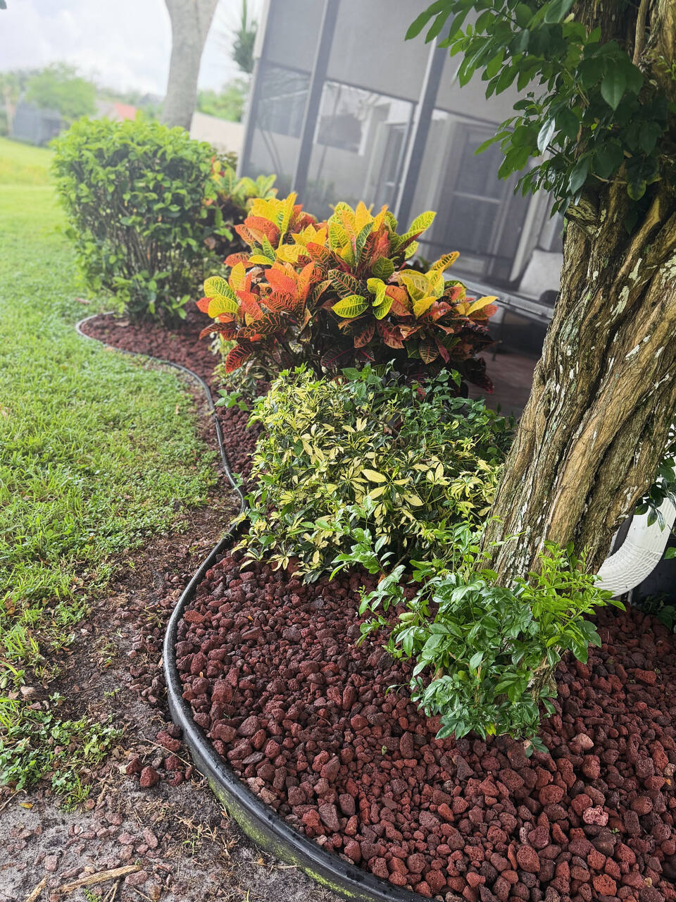 A curved bed beside the screen enclosure, replanted and finished in red lava rock inside black edging.